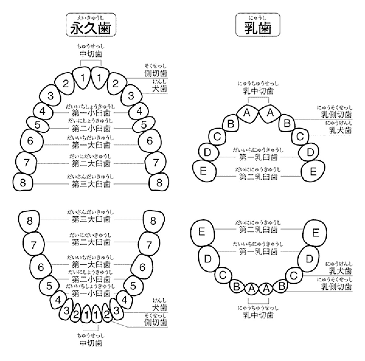 イメ-ジ