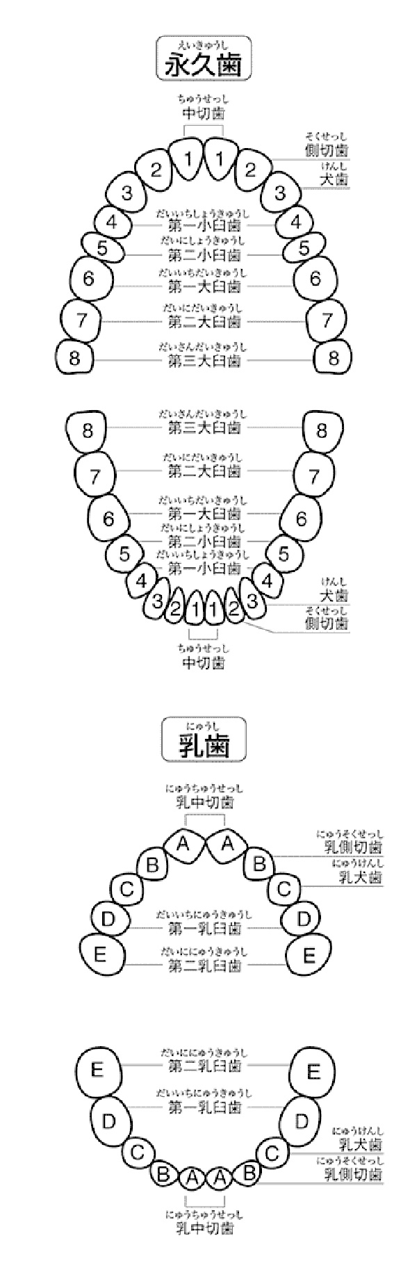 イメ-ジ